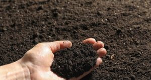 Các chỉ tiêu dùng cho đất yếu