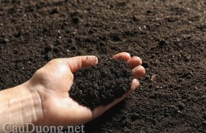 Các chỉ tiêu dùng cho đất yếu Các chỉ tiêu dùng cho đất yếu