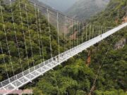 Cầu treo: Giải pháp vượt địa hình tối ưu, bền vững và thẩm mỹ