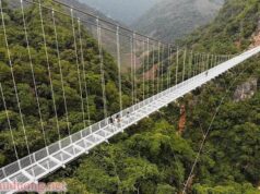 Cầu treo: Giải pháp vượt địa hình tối ưu, bền vững và thẩm mỹ Cầu treo: Giải pháp vượt địa hình tối ưu, bền vững và thẩm mỹ