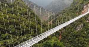 Cầu treo: Giải pháp vượt địa hình tối ưu, bền vững và thẩm mỹ