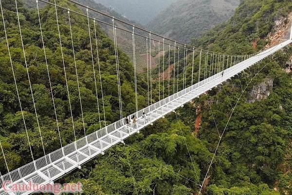 Cầu treo: Giải pháp vượt địa hình tối ưu, bền vững và thẩm mỹ