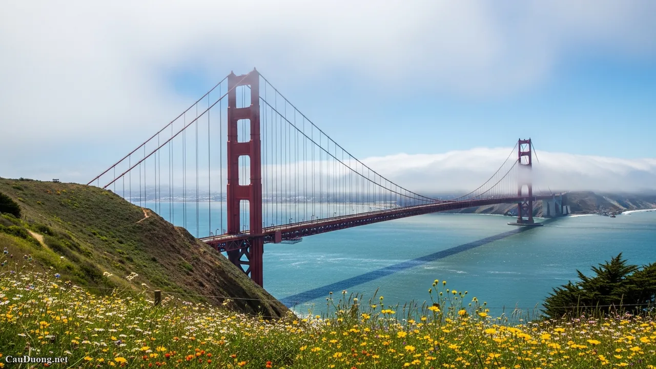 Top 10 Cây Cầu Nổi Tiếng Nhất Thế Giới