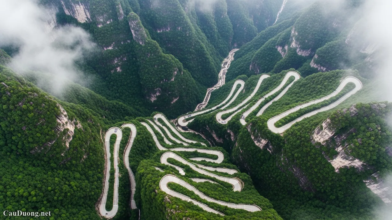 Top 10 Con Đ&egrave;o Đẹp Nhất Thế Giới